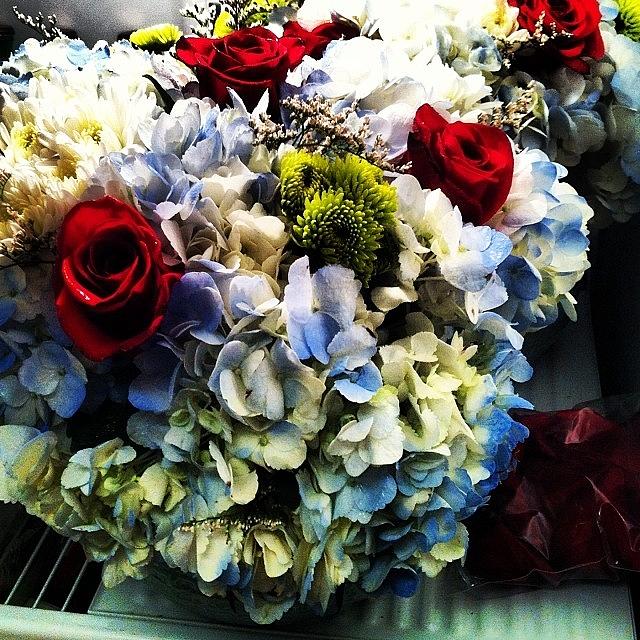 Arrangements I Just Made:) Theres Photograph by Brittney Anthony