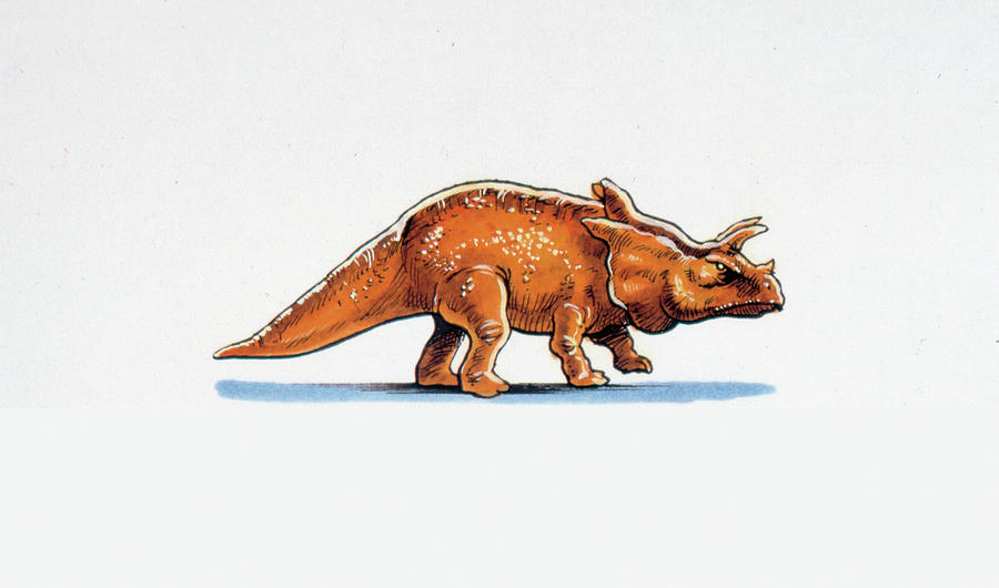 Prehistoric Photograph - Arrhinoceratops Dinosaur by Deagostini/uig