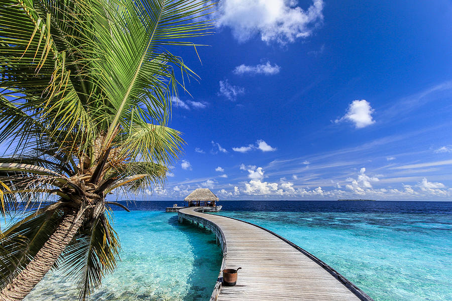 Arrival Jetty - Dusit Thani Maldives Photograph by Abllo Ameer