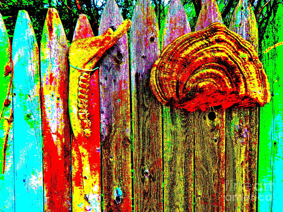 Art Fence 14C Photograph by George Ramos