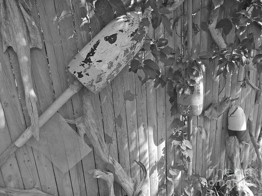 Art Fence 9B Photograph by George Ramos