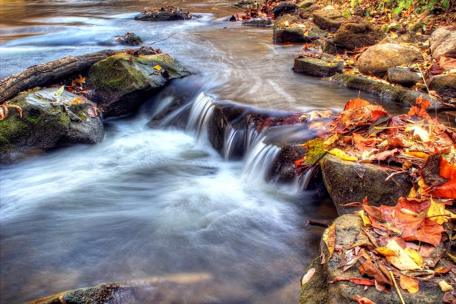 Fall Photograph - Art for Crohns HDR Fall Creek by Tim Buisman