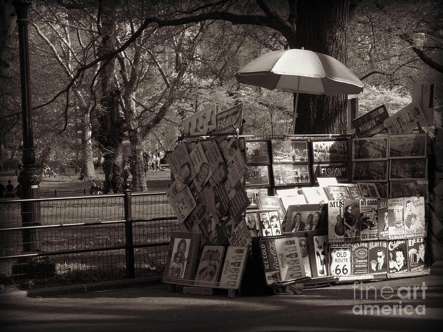 Art for Sale - Central Park - Antique Appeal Photograph by Miriam Danar