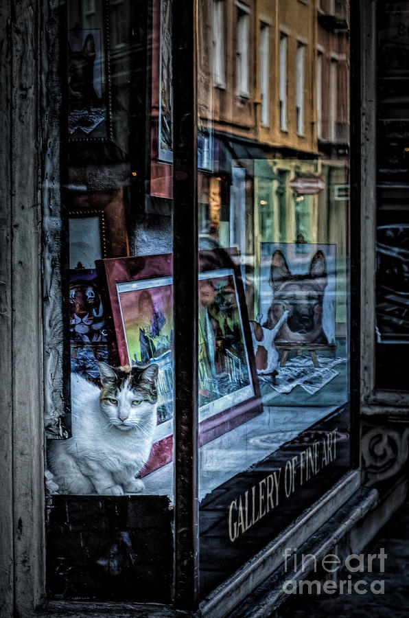 New Orleans Photograph - Art Guard Kitty by Kathleen K Parker