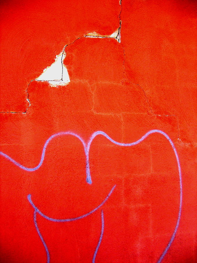 Art homage Joan Miro Picacho Arizona 2005 Photograph by David Lee Guss