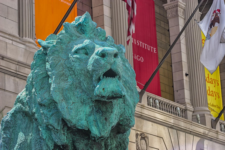 Art Institute Lion in Chicago Photograph by Lindley Johnson - Fine Art ...