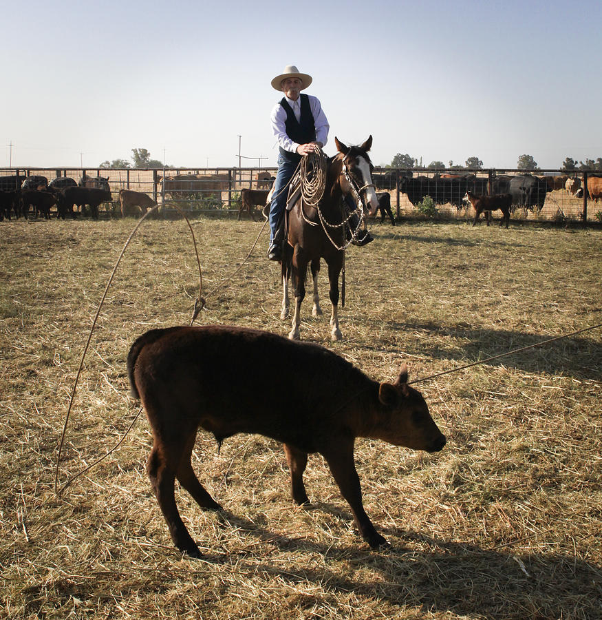 Art of a Cowboy Photograph by Diane Bohna