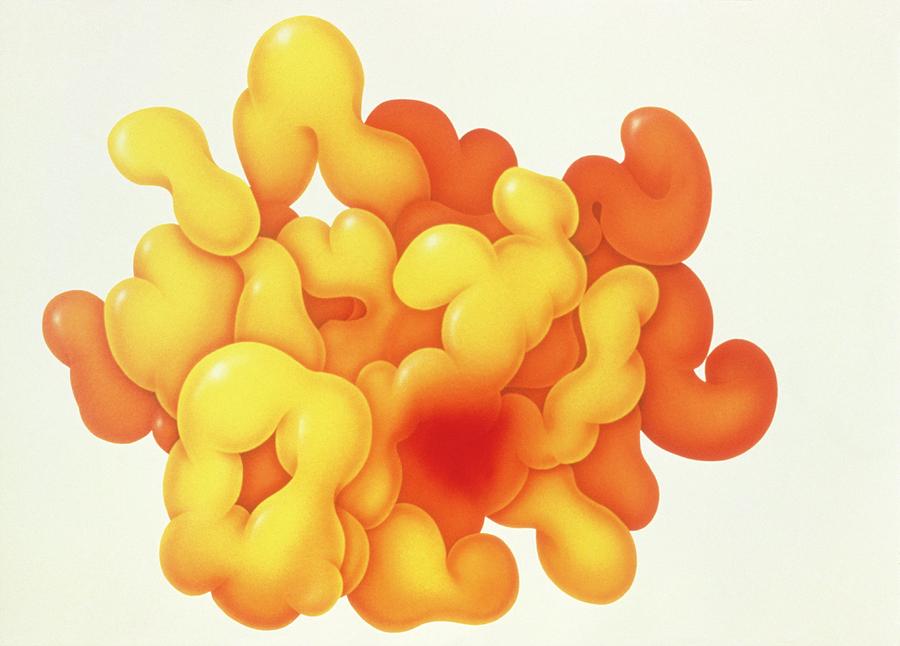 Art Of Enzyme Showing Active Site Photograph by Francis Leroy, Biocosmos/science Photo Library