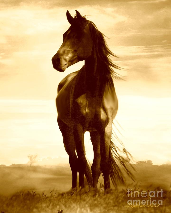 Art of Horse Antiqued  Photograph by Stephanie Laird