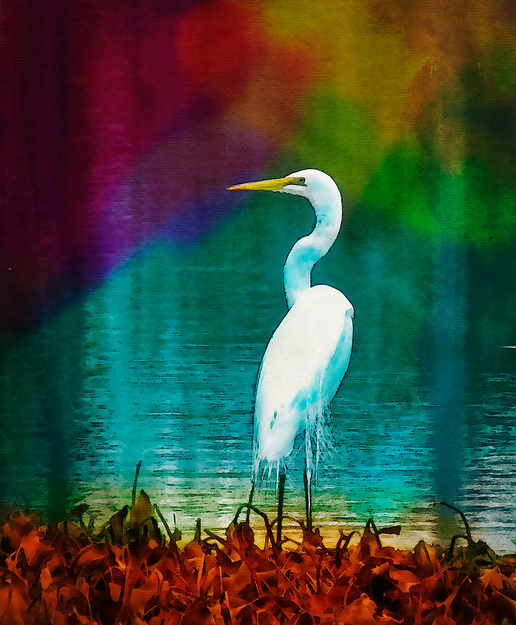 Art of the Egret Photograph by Frank Bright