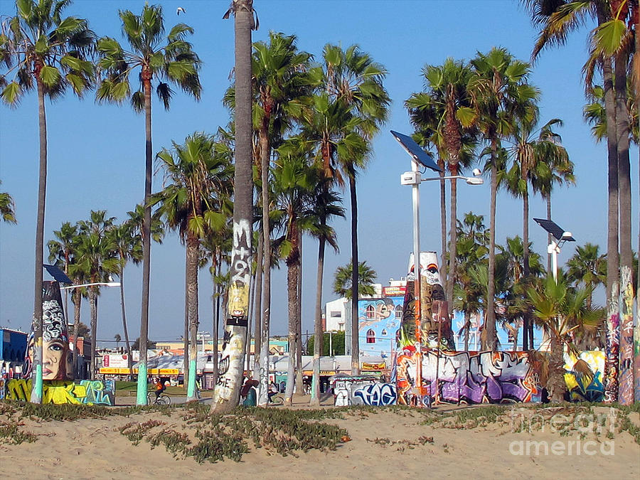 Art Of Venice Beach Photograph by Kelly Holm