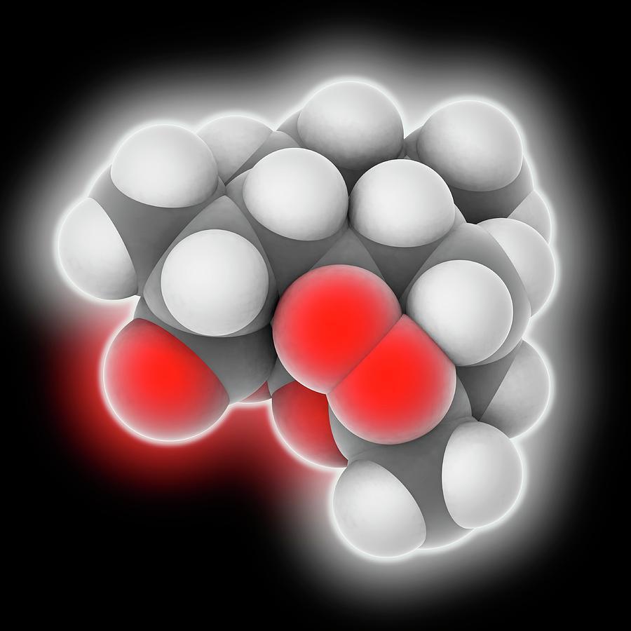 Artemisinin Drug Molecule Photograph by Laguna Design - Pixels