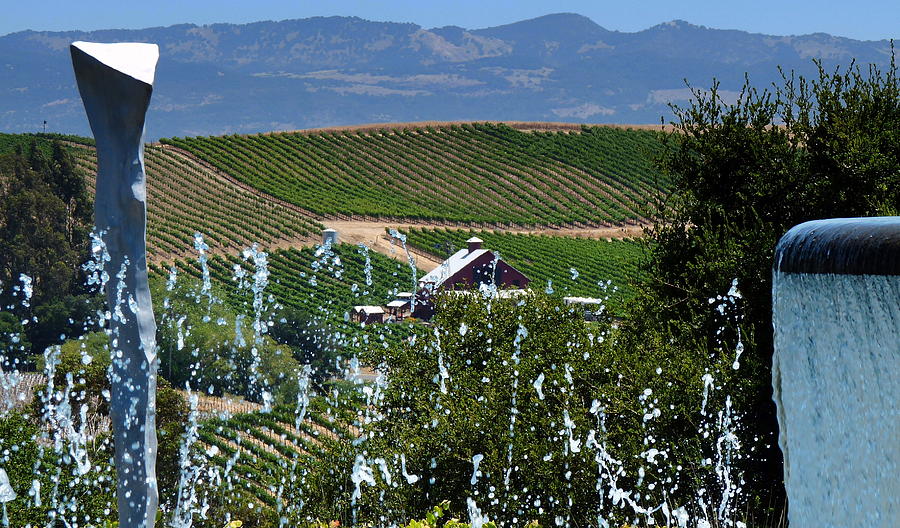 Artesa Vineyards and Winery Photograph by Jeff Lowe
