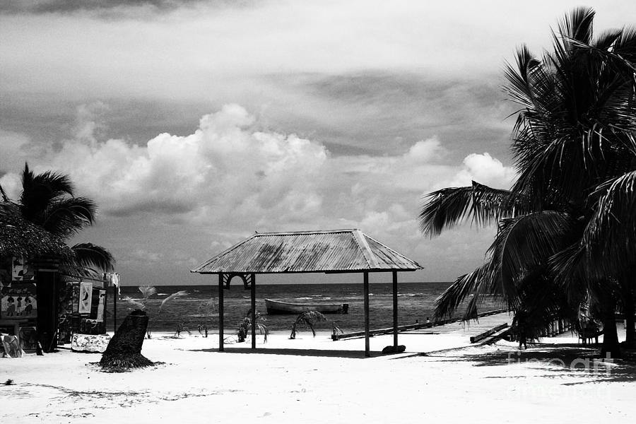 Artful Beach Black and White Photograph by Heather Kirk