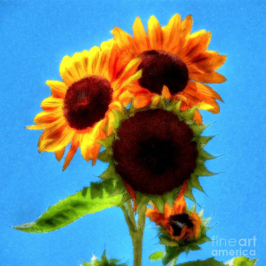 Artful Sunflower Photograph by Patrick Witz