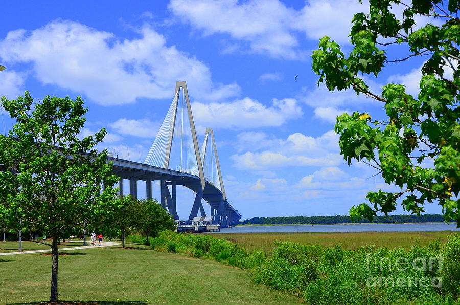 Arthur Ravenel Bridge of Charleston South Carolina Photograph by Debra Martz