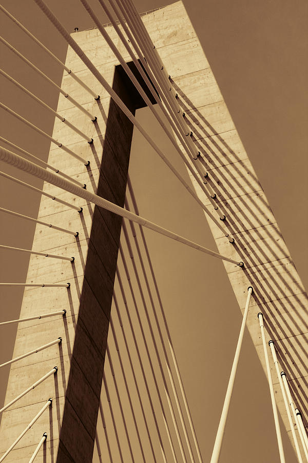 Arthur Ravenel Jr. Bridge in Sepia Photograph by Kathy Clark