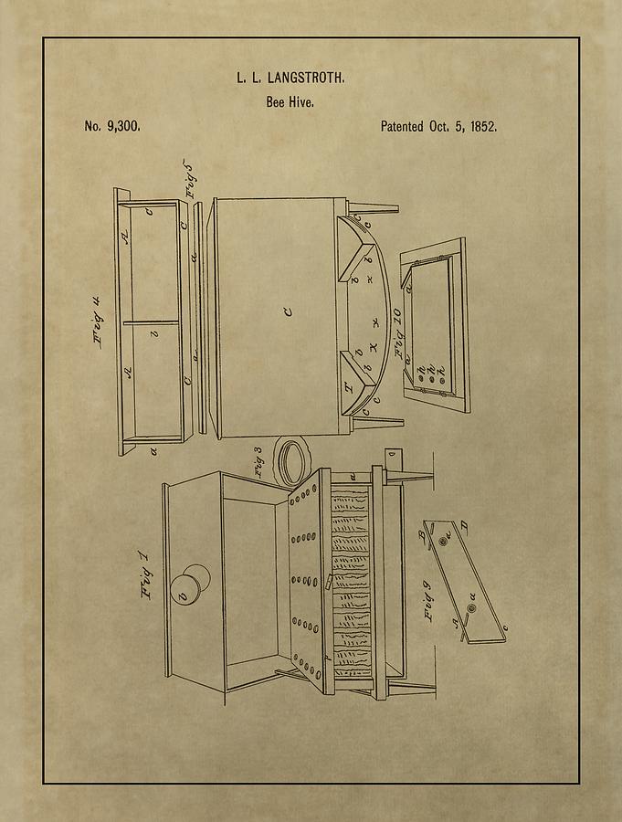 Artificial Bee Hive Patent Drawing by Dan Sproul