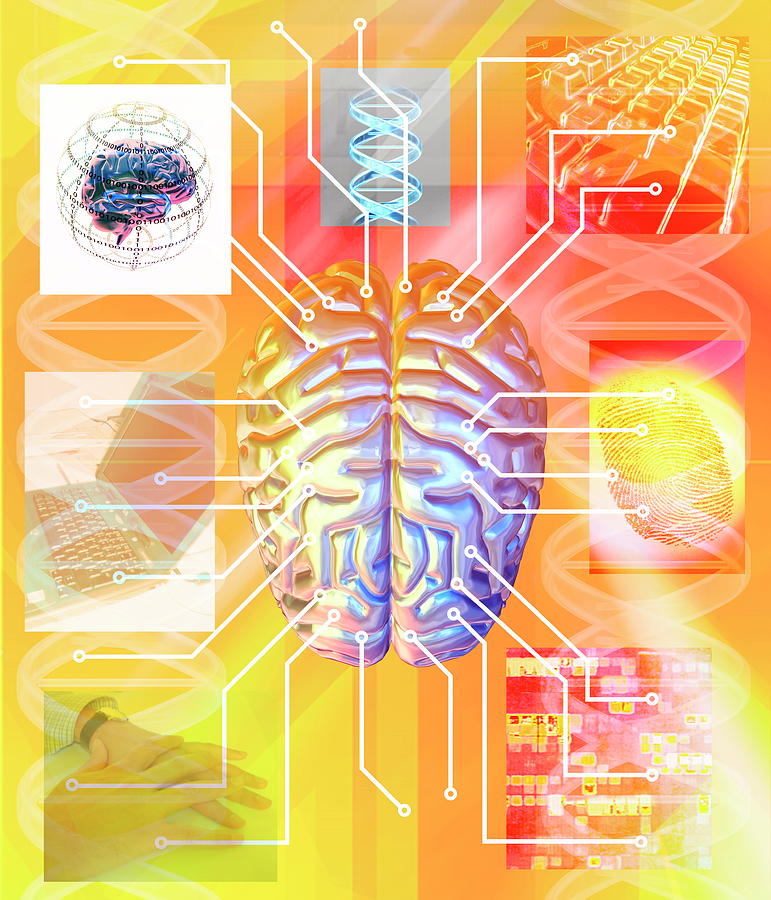 Organ Photograph - Artificial Brain by Alfred Pasieka/science Photo Library Organ Photograph - Artificial Brain by Alfred Pasieka/science Photo Library