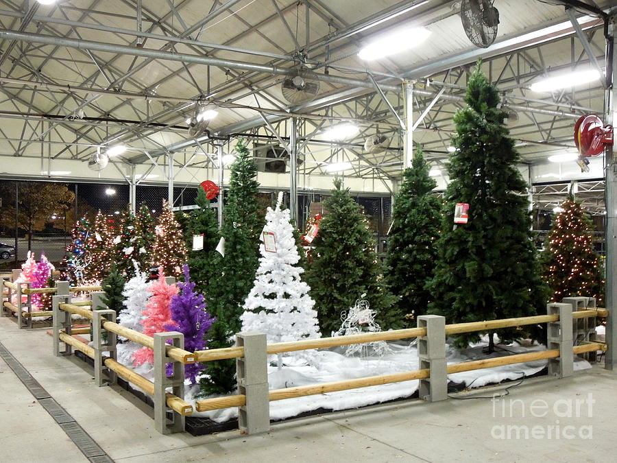 Artificial Christmas Trees For Sale Photograph by Renee Trenholm