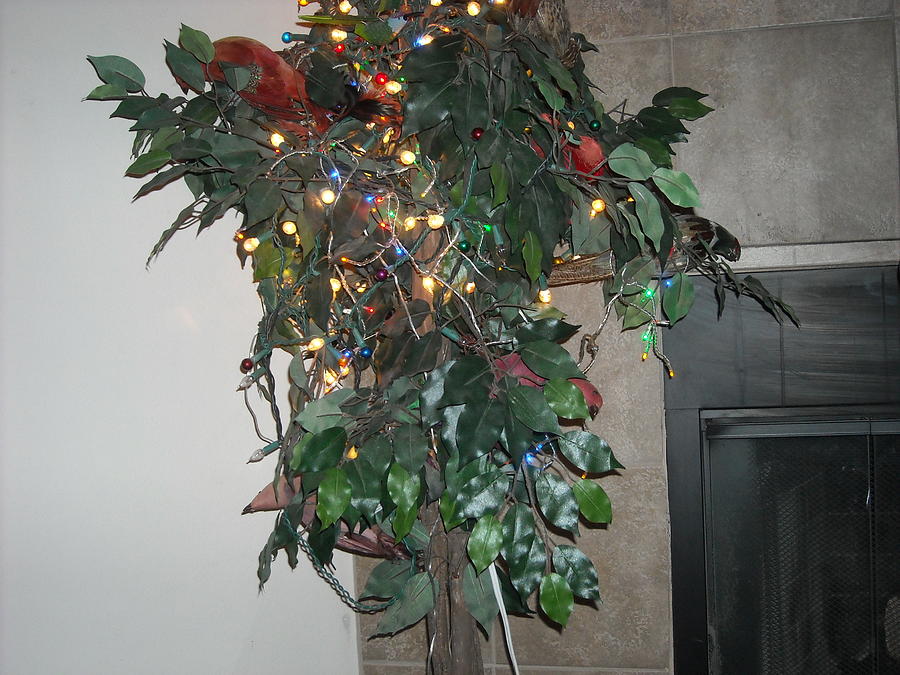 Artificial Fig Tree With Lights Photograph by David Malberg Fine Art