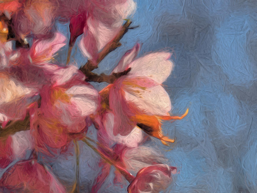 Artisic painterly Cherry blossoms spring 2014 Photograph by Leif Sohlman