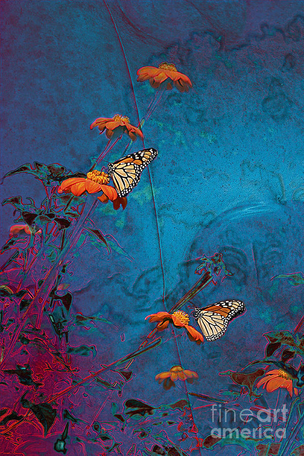 Artistic Butterflies Photograph by Sari Sauls