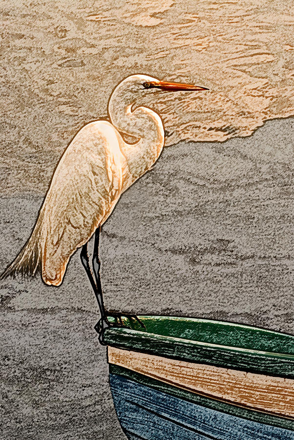 Artistic Egret and Boat Photograph by Don Johnson