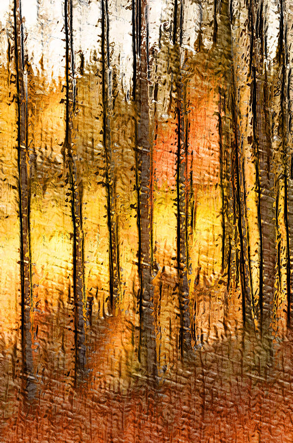 Artistic Fall Forest Abstract Photograph by Don Johnson