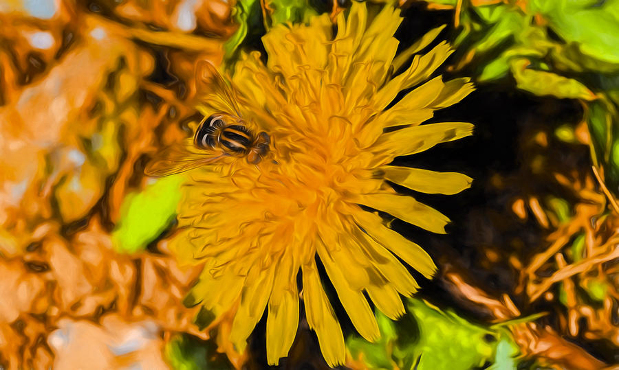 Insects Photograph - artistic imp Hoverfly On Dandelion by Leif Sohlman