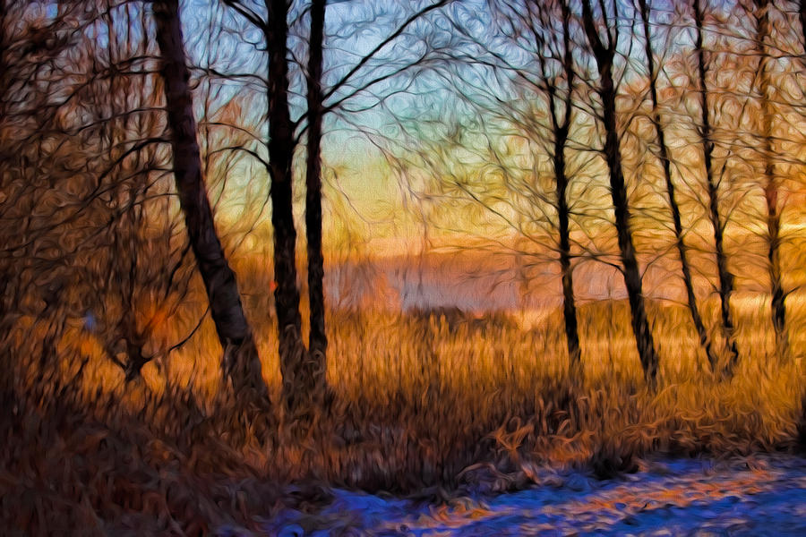 Artistic January Light 2015 a weak sun lightening the winter landscape. Photograph by Leif Sohlman