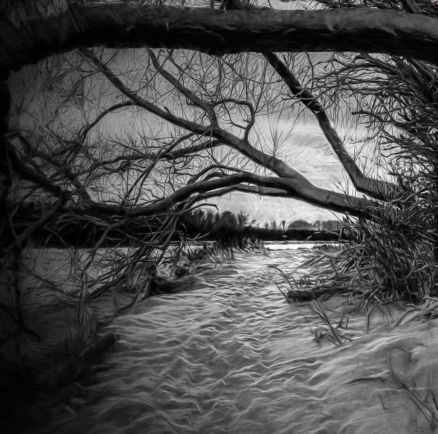 Artistic Photograph - Artistic monochrome paintirly presentation of January light on January 23 2014 in Enkoping Sweden by Leif Sohlman