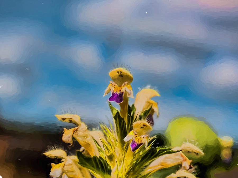 Flower Photograph - Artistic painterly Afraid for what by Leif Sohlman