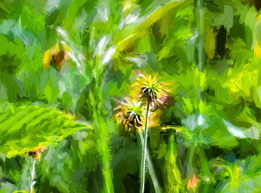 Summer Photograph - Artistic paitirly June 27 2014 a plant beginning to #produce #seeds in the midle of summer in Enkopi by Leif Sohlman