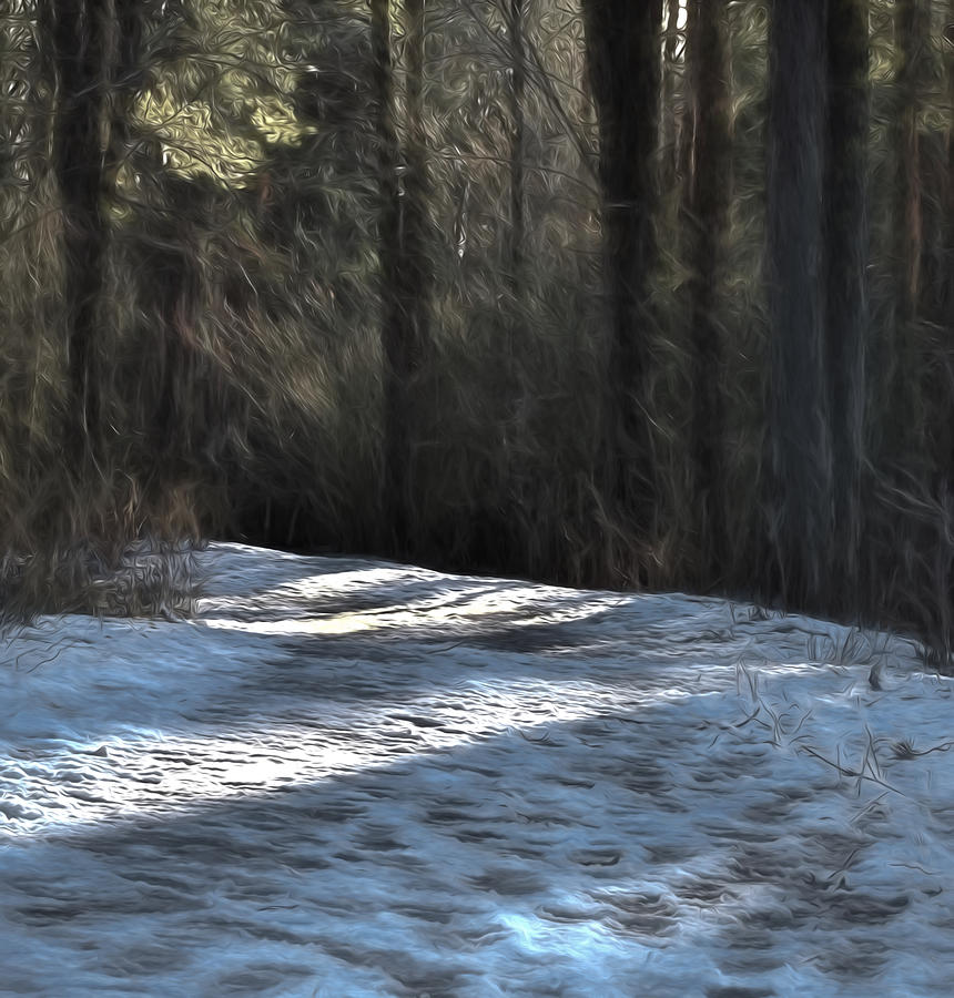 Tree Photograph - Artistic panterly #danger #icy #pathway In Forest by Leif Sohlman