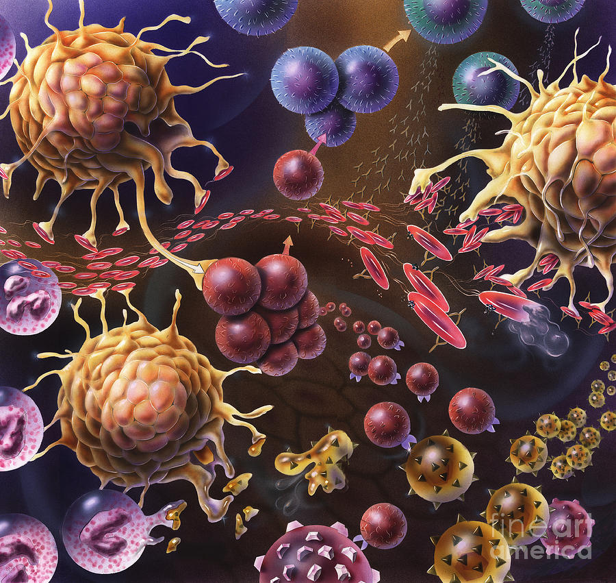 Artistic Representation Of The Immune Digital Art by TriFocal ...