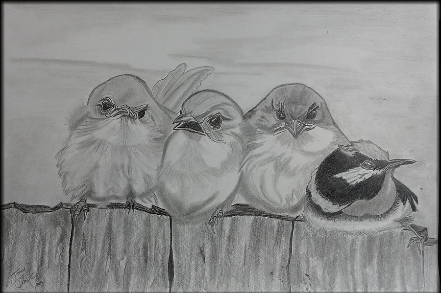 Bird Drawing - Artistic by Tony Clark