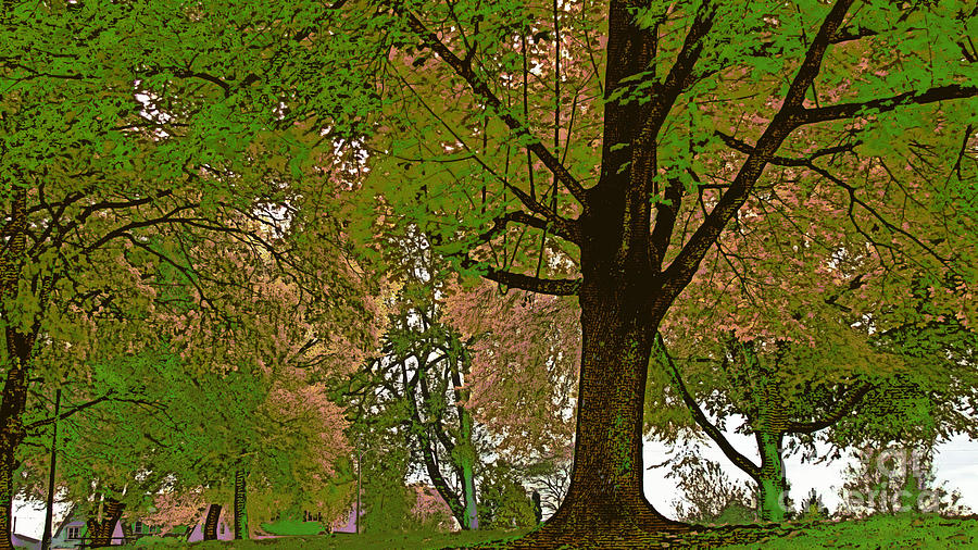 Tree Photograph - Artistic Touch Trees and More by Beverly Guilliams