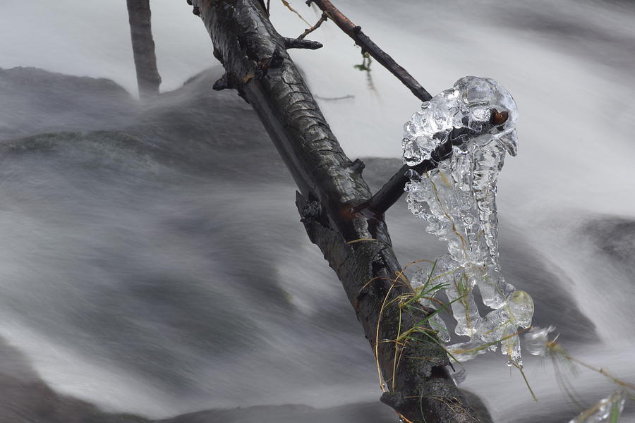 Winter Photograph - Artistry in Ice 24 by David Birchall