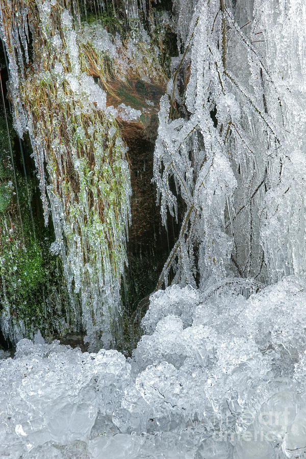 Winter Photograph - Artistry In Ice 4 by David Birchall
