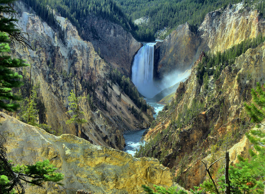 Artists Point Yellowstone Photograph by Matthew Winn - Fine Art America