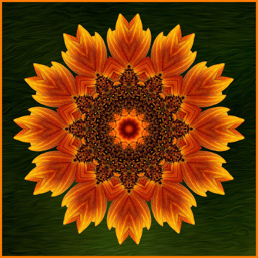 Artsy Sunflower Kaleidoscope Photograph by Liz Mackney