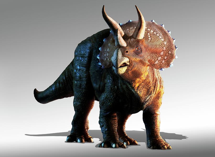 Artwork Of A Triceratops Photograph by Mark Garlick/science Photo ...