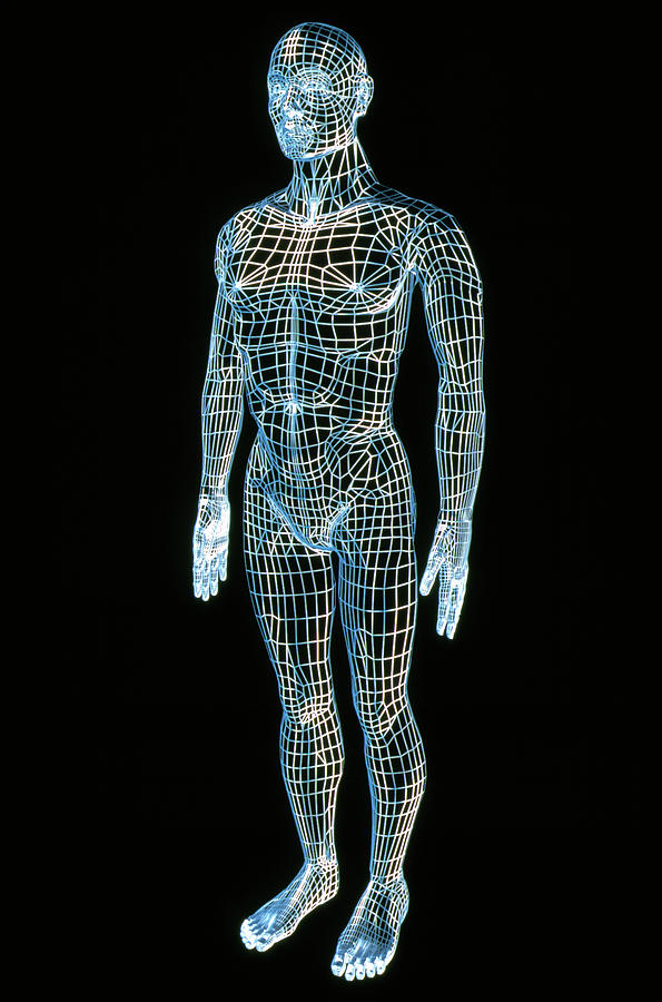 Artwork Of A Wire-frame Mans Body Photograph by Alfred Pasieka/science Photo Library