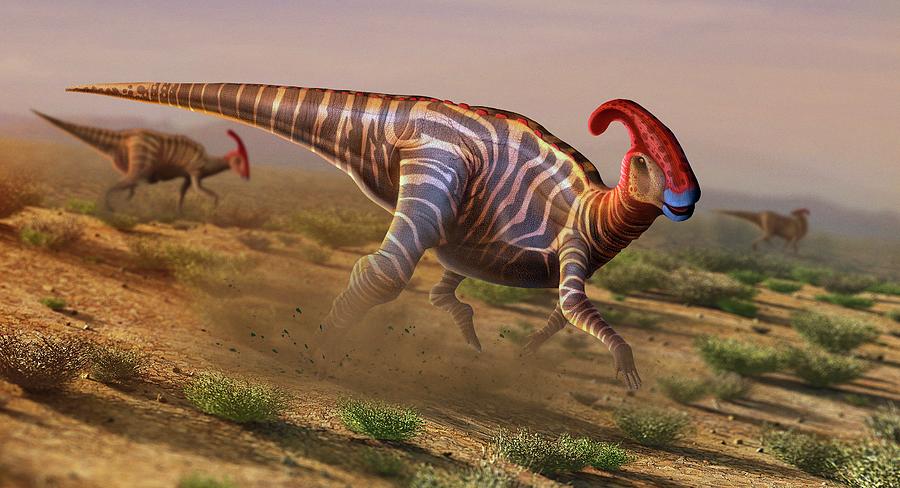 Artwork Of Parasaurolophus Photograph By Mark Garlick Science Photo Library Pixels