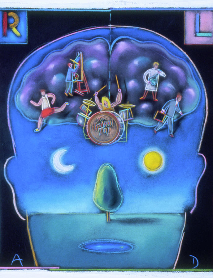 Artwork Of Right & Lefthandedness Of The Brain Photograph by Andrzej