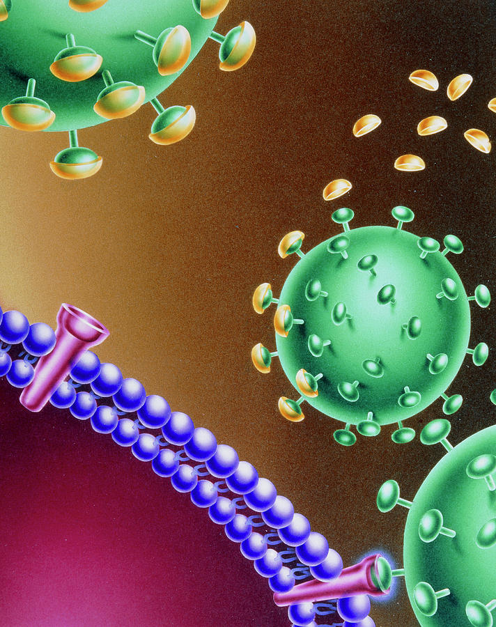 Artwork Of The Hiv-1 Virus And Possible Treatment Photograph by Kairos, Latin Stock/science Photo Library