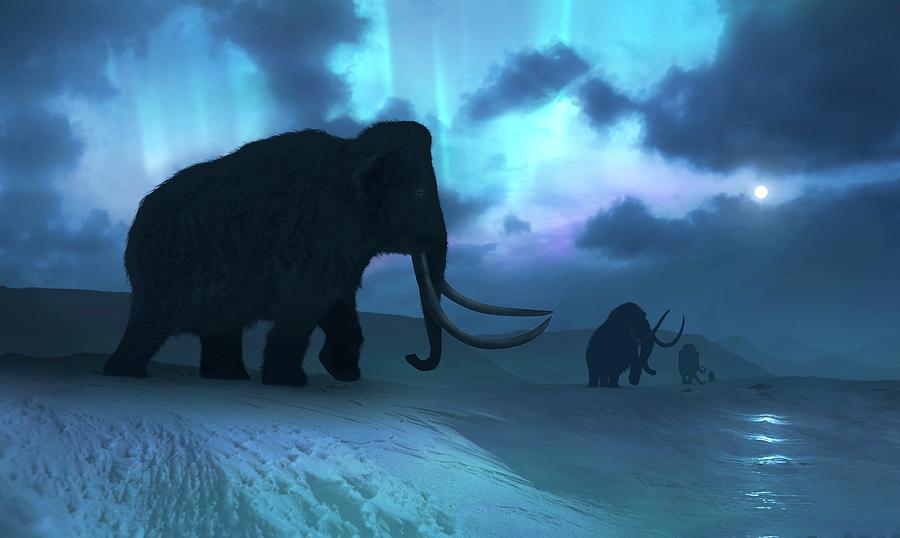 Artwork Of The Mammoths And Aurora Photograph by Mark Garlick/science Photo Library