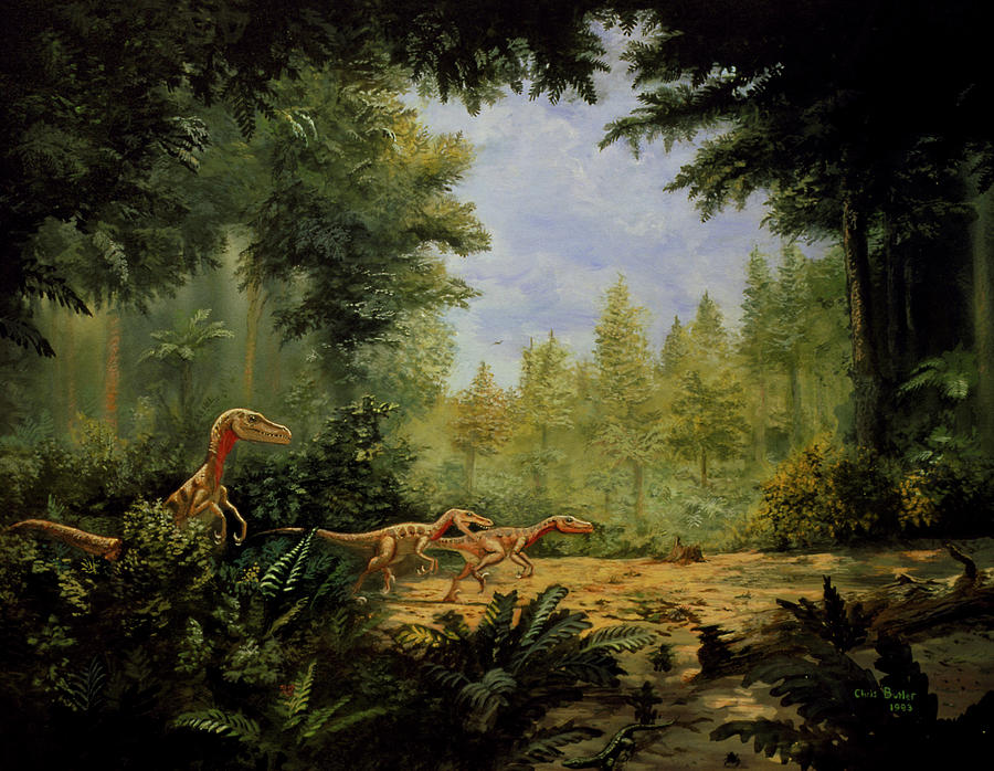 Artwork Of Velociraptor Sp. Dinosaurs Photograph by Chris Butler/science Photo Library