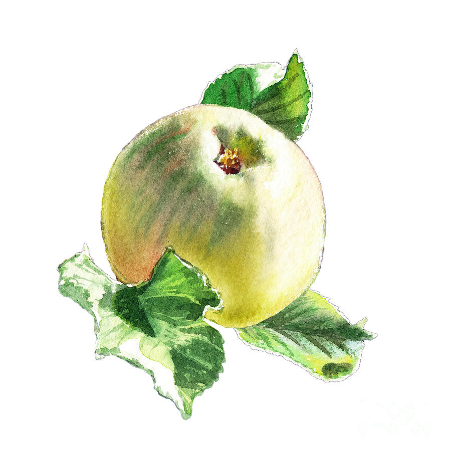 ArtZ Vitamins Series A Happy Green Apple Painting by Irina Sztukowski